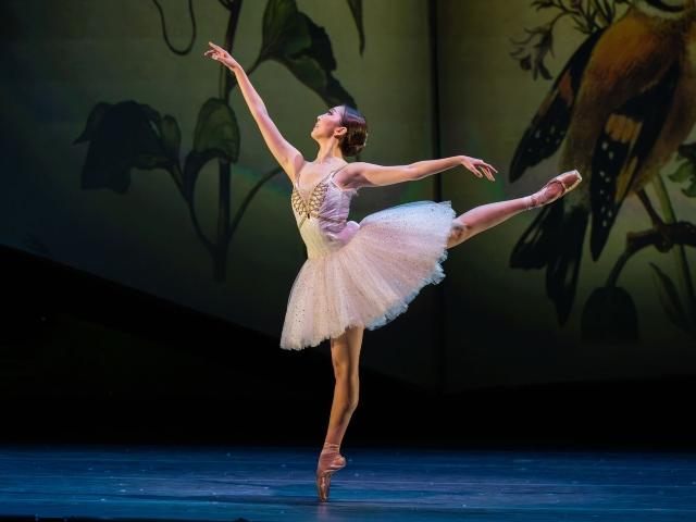 Atlanta Ballet Experience